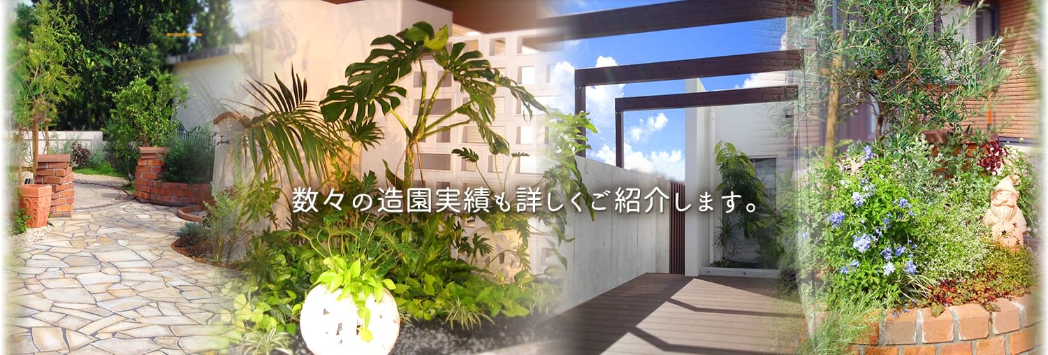 沖縄県 観葉植物レンタルのことならリッチグリーン観葉植物販売エクステリアショールームプラスガーデン月桃関連商品販売 沖縄県 観葉植物レンタルのことならリッチグリーン観葉植物販売エクステリアショールームプラスガーデン月桃関連商品販売
